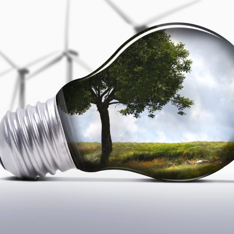Ampoule avec un arbre et un paysage en arrière-plan, évoquant l'écologie et l'énergie.
